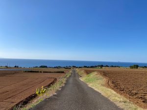 長島町畑